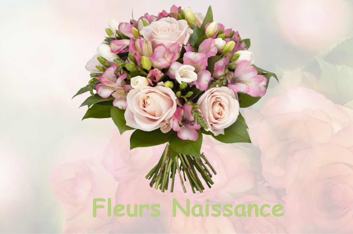 fleurs naissance LA-BASTIDE-DE-BOUSIGNAC